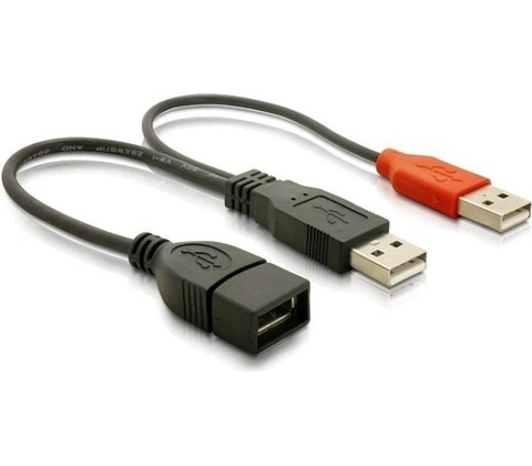 Delock 65306