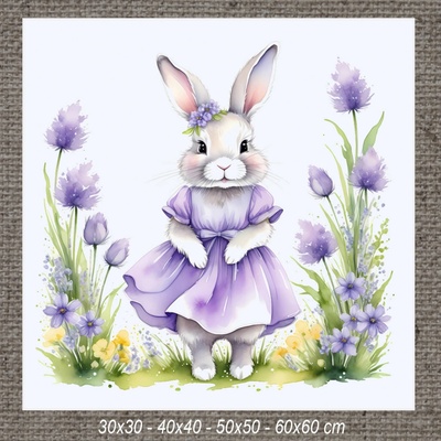 Obraz ZAJAČICA e 50x50 cm