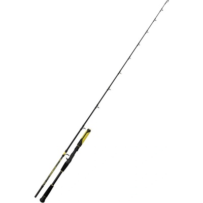 Black Cat Perfect Passion Allstar CAST 2,2 m 30-130 g 1+1 díl