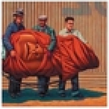 MARS VOLTA: AMPUTECHTURE CD