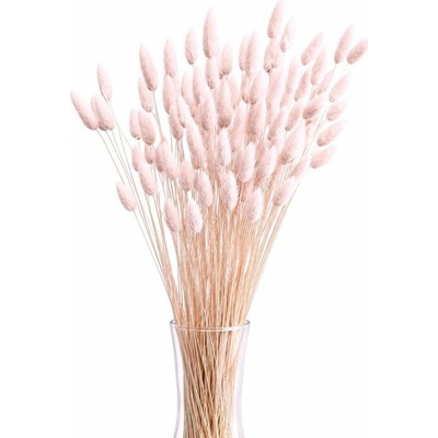Sušený lagurus (králičí ocásek) sepia rose 45g