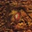 Deus - Worst Case Scenario 2 CD