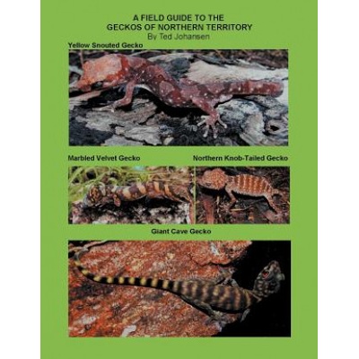 Field Guide to the Geckos of Northern Territory | Ted Johansen