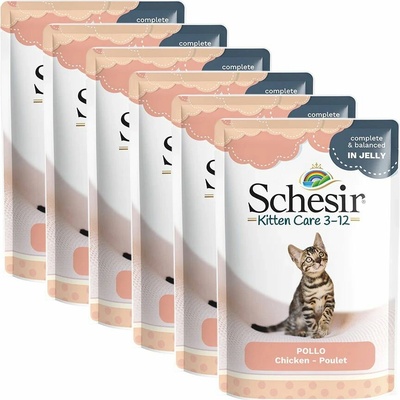 Schesir Cat kitten kuracie filety 6 x 85 g