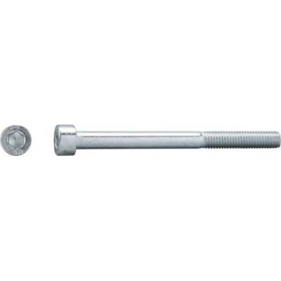 Skrutka s valcovou hlavou 1/4"x1 1/4" závit (podobné DIN 912) galvanicky pozinkovaná, 1 ks