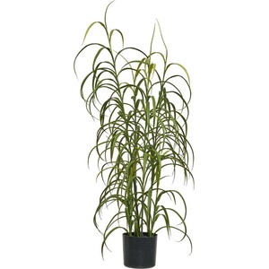 House Nordic Изкуствено растение (височина 89 cm) Grass - House Nordic (9510003)