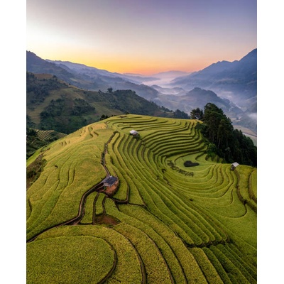 Plakát, Obraz - Rice fields on terraced prepare the, Vu Viet Dung, 30 × 40 cm