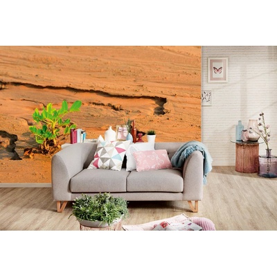 DIMEX ART Самозалепваща се флизелинова фототапета растещо пустинно растение 375 x 250 см