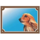 Dafiko Tabulka Afgánský chrt