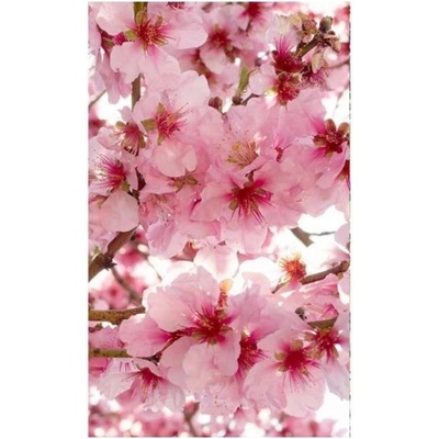 DIMEX ART Флизелинов фототапет ябълкови цветове 150 x 250 см