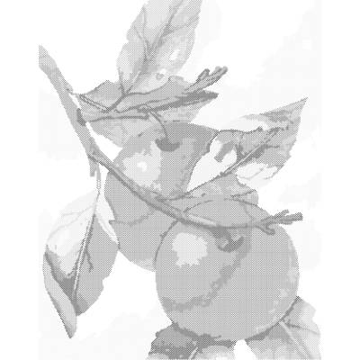 ZUTY Bodkovanie - JABLKÁ Rámovanie: vypnuté plátno na rám, Rozmer: 40x50 cm