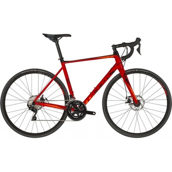 Kellys Arc 50 2019