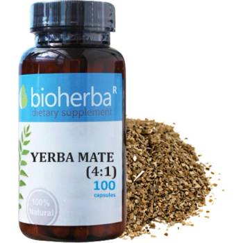 Image 1 of Bioherba Yerba Mate (4: 1) [100 капсули]
