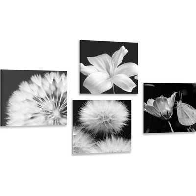 Set obrazů černobílá krása květin s motýlem - 4x 40x40