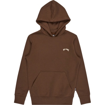 Billabong Детски суичър Billabong Kid's Arch Hood Hoodie - Dark Cedar - размер 146 (704-5113-0113)