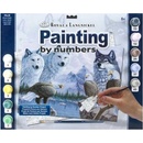 Malování podle čísel Vlci a orli