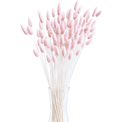 Sušený lagurus (králičí ocásek) sepia rose 90g-95g