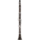 Yamaha YCL CSV