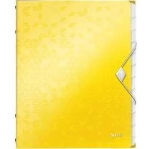 Leitz Briefcase PP with eraser Leitz Wow A4 12 cover