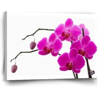 Sablio Obraz Fialové orchideje - 60x40 cm