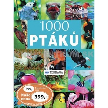 1000 ptáků -