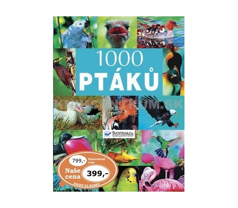 1000 ptáků -