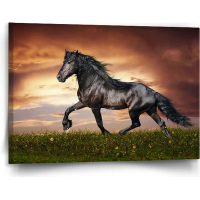 SABLIO Obraz Friský kůň Varianta: 120x80cm