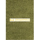Ayyildiz Dream Shaggy 4000 Green