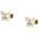 La petite story lps01arr103 (lps01arr103)