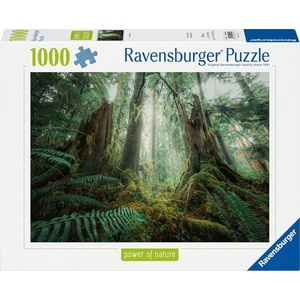 Ravensburger Пъзел Ravensburger от 1000 части - Очарователна гора (12000292)