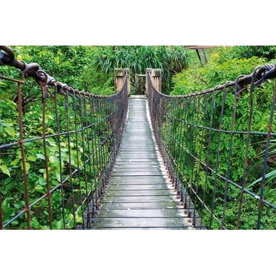 Dimex FL255-026 Fototapeta na podlahu Footbridge rozměry 255 x 170 cm
