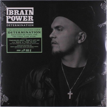BRAINPOWER - DETERMINATION LP