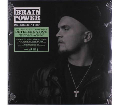BRAINPOWER - DETERMINATION LP