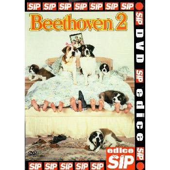 DM discont Beethoven 2 - DVD (035572)