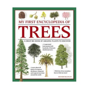 My First Encyclopedia of Trees (giant Size) | Richard McGinlay (ISBN: 9781861478252)