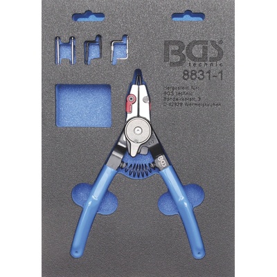 BGS 108831-1
