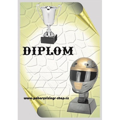 VIZINGR Auta diplom A4 č.27