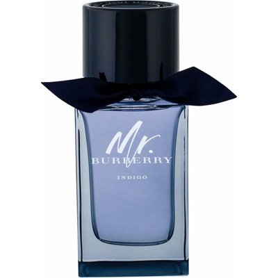 Burberry Mr. Burberry Indigo toaletná voda pánska 100 ml tester