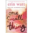 One Small Thing