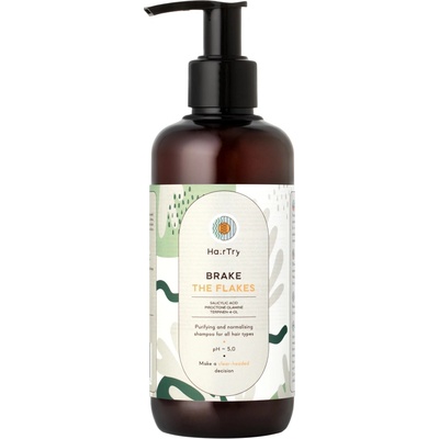 HairTry - Brake the flakes normalizační šampon s kyselinou salicylovou 250 ml