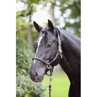 Covalliero Ohlávka Cordano khaki – Zboží Dáma