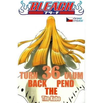 Bleach 36: Turn Back The Pendulum