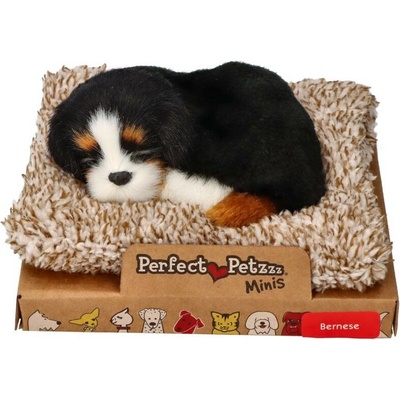 Perfect Petzzz Mini bernardín
