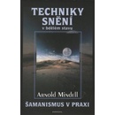 Techniky snění - Arnold Mindell