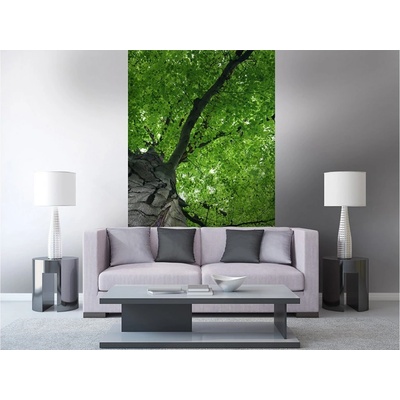 Dimex MS-2-0101 vliesová fototapeta na zeď Koruna stromu rozmery 150 x 250 cm
