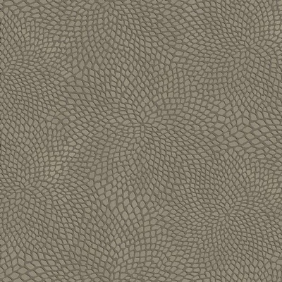 Dimout taupe, drobný vzor, š.150