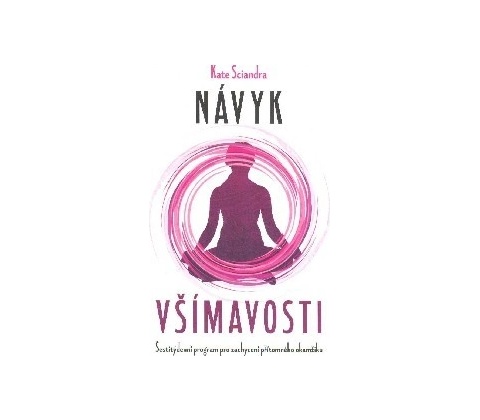 Návyk všímavosti