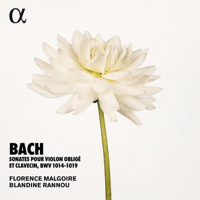 Bach - Sonates Pour Violon Oblig Et Clavecin, BWV 1014-1019 CD