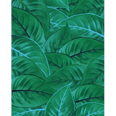 Komar Vliesová fototapeta Jungle Leaves rozměry 200 x 250 cm