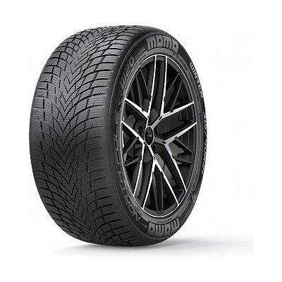 Esa+ tecar W-20 North Pole 235/40 R19 96W